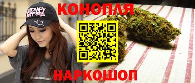 шишки Изобильный