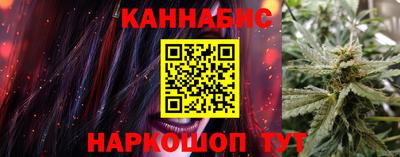 шишки Изобильный