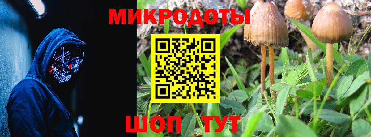 Псилоцибиновые грибы GOLDEN TEACHER  Вход с VPN  Великий Устюг 